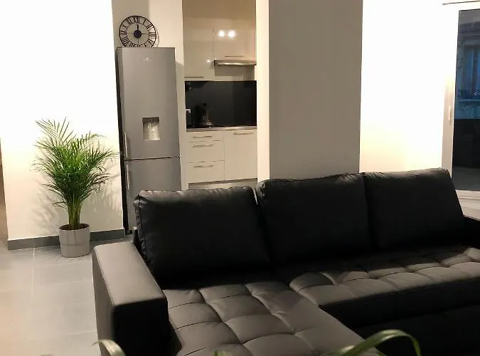 Appartement De 110M2 Au Centre De Cusset